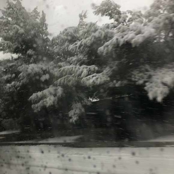 Meet your Posher, Rafa - Picture 1 of 1